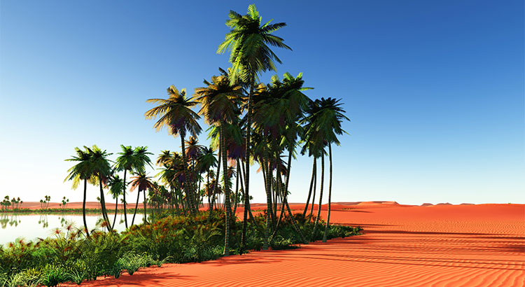 Your Home Is An Oasis In The Inventory Desert